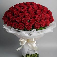 Букет 101 Красная роза Блэк Мэджик в Калиновке