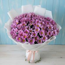 Букет цветов из:  Хризантемы #REPLACE_PRED# Калиновке