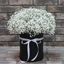 Цветочная композиция из Гипсофила в шляпной коробке в Калиновке