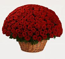 Премиум букет из: Розы в Калиновке