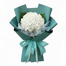Букет цветов из:  Гортензия в Калиновке